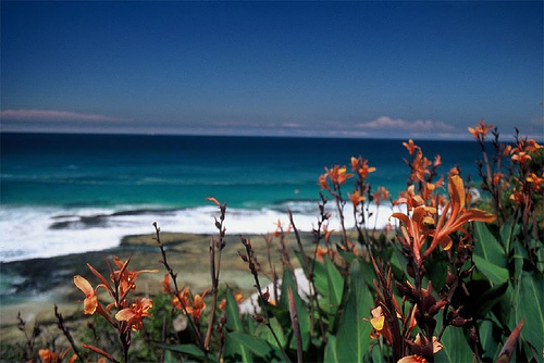 Katz Bondi Beach: image 1 0f 4 images